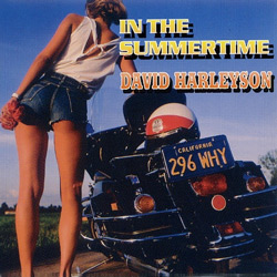 David Harleyson 90s hity