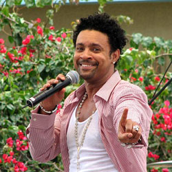 Shaggy 90s hity